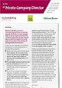 UK Private Company Director - Q1 2016 - thumbnail